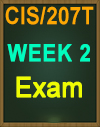 CIS/207 WileyPLUS Weekly Exam